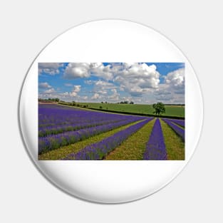 Lavender Field Purple Flowers Cotswolds England Pin