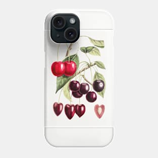 Hand drawn cherry Phone Case