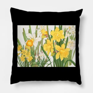 Vintage print - Yellow and white daffodils Long Pillow