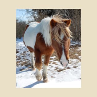 Wild horses, wildlife, gifts, Assateague Island, Wild Beauty T-Shirt