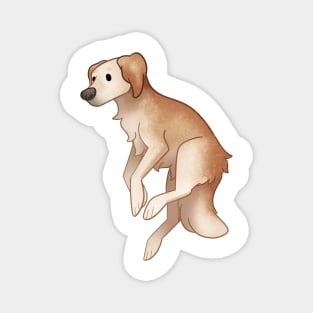 Cozy Golden Retriever Magnet