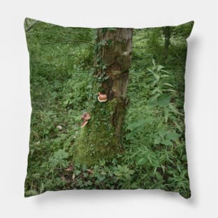 Moss-covered Tree With Mushrooms And Ivy Pillow