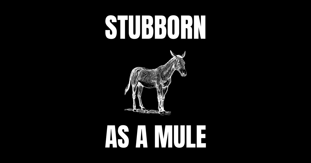 Stubborn as a mule stubborn as a mule pin teepublic