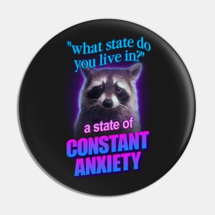 What state do you live in? a state of constant anxiety raccoon word art Pin