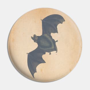 Bat Pin