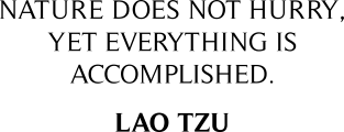 Lao Tzu Quote Magnet