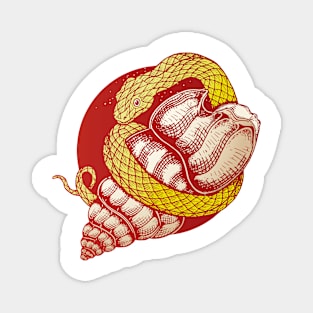 Snake and shell Magnet