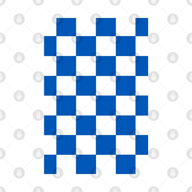 Brighton Checkered Flag by Confusion101