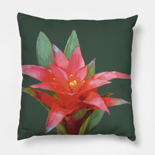 Scarlet Star, Guzmania lingulata Pillow