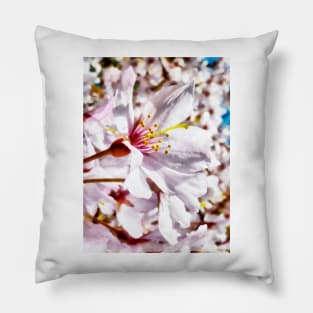 The Cherry Blossom Pillow
