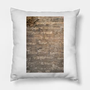 Old brick wall with cracks and scratches. Brick wall background. Distressed wall with broken bricks texture. House facade. Pillow