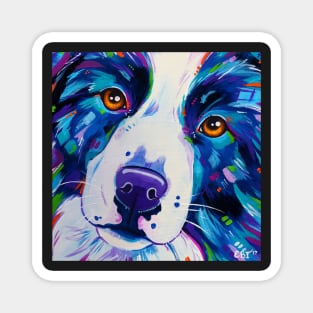 Border Collie Dog Close Up Magnet