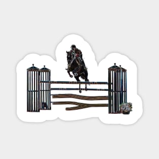 Horse Jumping Magnet