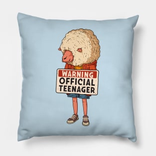 Official Teenager 13th Birthday Gift Pillow