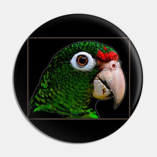 Parrot / Cotorra Pin