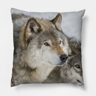 Timber Wolves Pillow