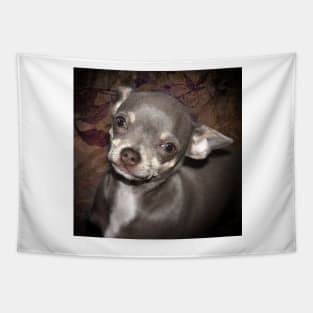 Loveable Cheeky Cute Chihuahua Face art Tapestry