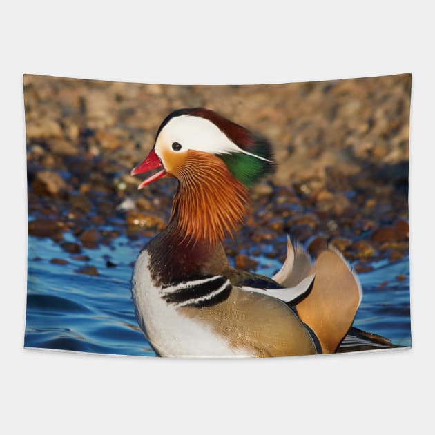 Mandarin Duck at the Pond Tapestry by walkswithnature