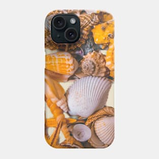 Summer Holidays Beach Seashells Phone Case