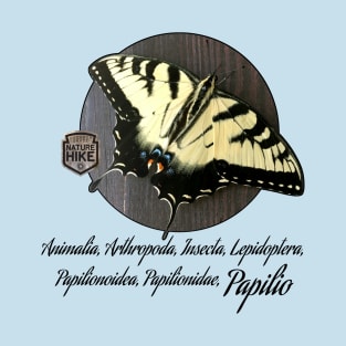 Yellow Swallowtail Taxonomy T-Shirt