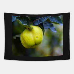 Yellow ripe quince on branch Tapestry