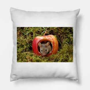 Mouse in a apple Pillow