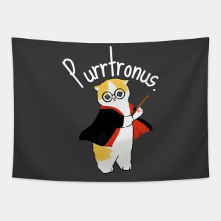 Potter Cat. Purrtronus. Tapestry
