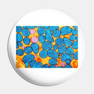 Mitochondria, TEM (G465/0071) Pin