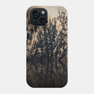 Sepia tree branches sunset in rural German village with red led light wall background and led lights Phone Case
