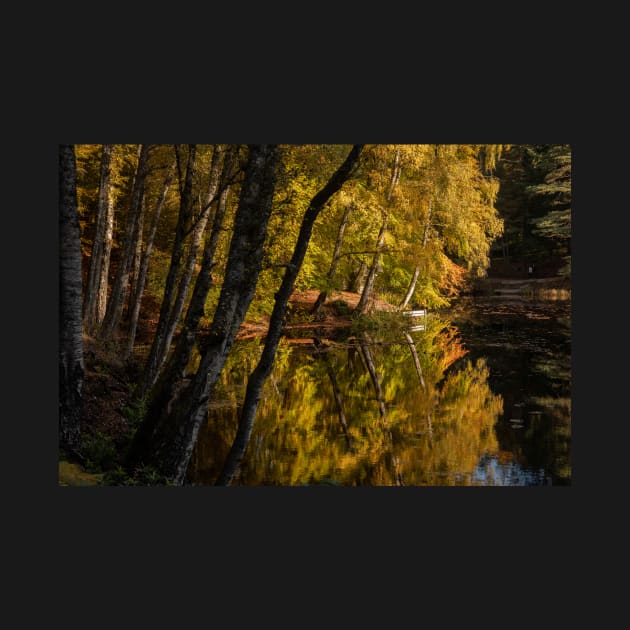 'Autumn Magic 3', Dunmore Loch, Pitlochry by mucklepawprint