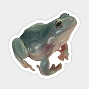 Happy Australian Green Tree Frog Magnet