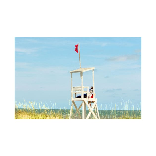 Lifeguard Duty by Cynthia48