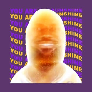 James Meme You Are My Sunshine T-Shirt