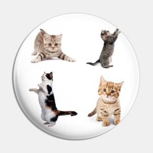 Awesome kitten cat love - cat lover pack Pin