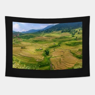 Rice Terrace4. Tapestry