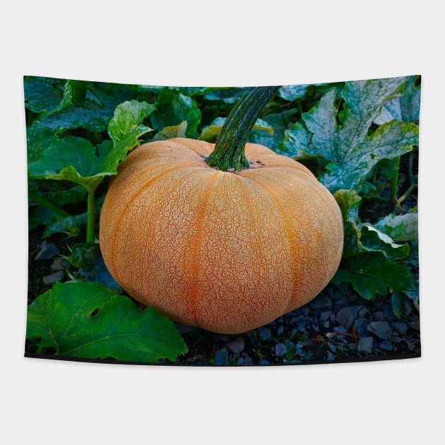 Pretty Pumpkin Tapestry by Rebekah Slick