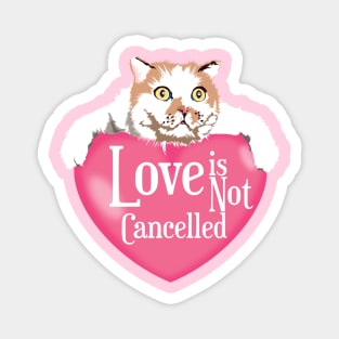 Love is Not Cancelled Pink Heart Cat Magnet