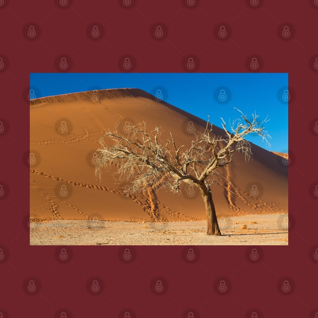 Dead Tree in front of Dune 45 by yairkarelic