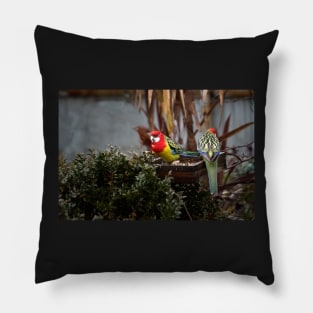 Eastern Rosella Pillow