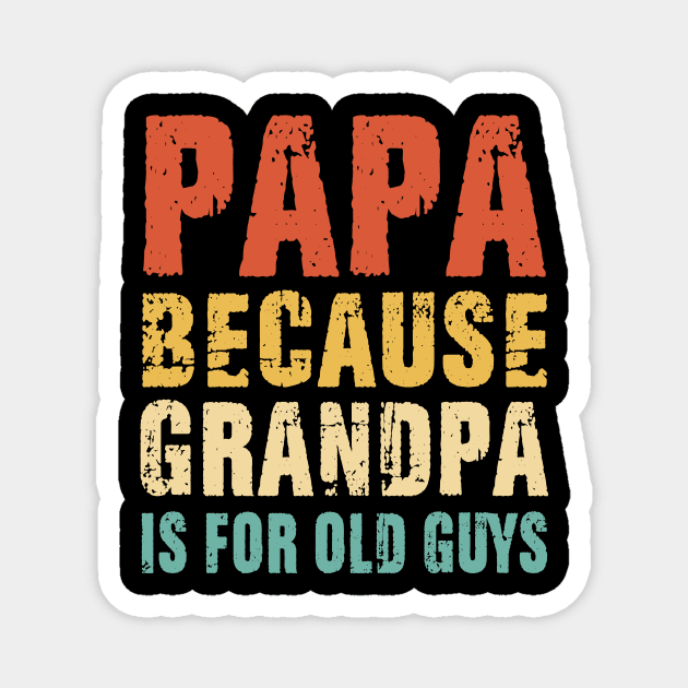 Papa because Grandpa is for old Guys Vintage Retro Dad Gifts Magnet by binnacleenta