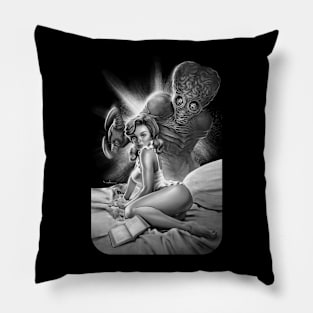 The Visitor Pillow