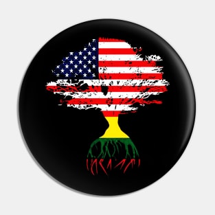 American Flag Lithuanian Roots Pin