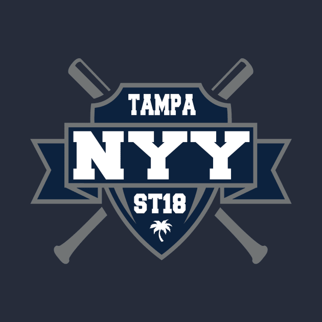 Tampa, Florida Spring Baseball by OffesniveLine