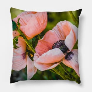 Beautiful Poppies, Flower Photograph Pillow