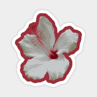 Pure White Hibiscus Tropical Flower Vector Magnet