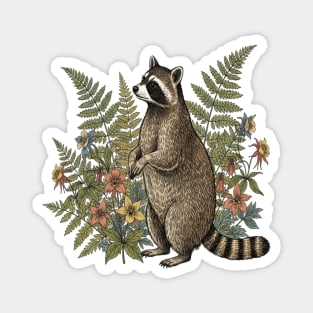 Vintage Raccoon and Wild Ferns Magnet