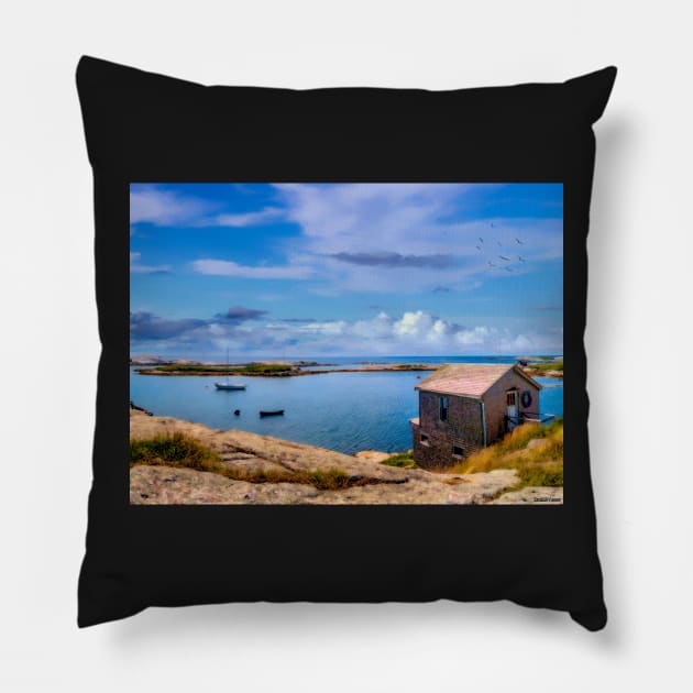 Calm Summer Day in Prospect Pillow by kenmo