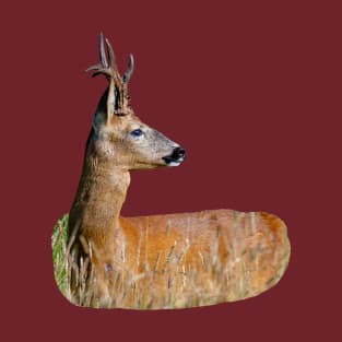 Roe buck T-Shirt