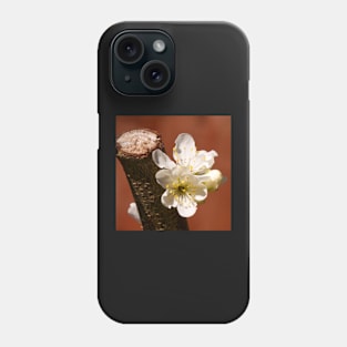 Plum Blossom Phone Case