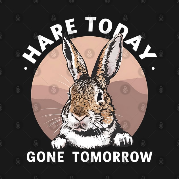 Funny Rabbit Hare Today Gone Tomorrow by NomiCrafts